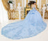 Floral Quinceañera Ball Gown with Crystal Embellishments for Women 4/XS-16/3X
